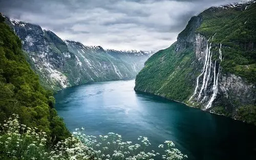 先进数字化独特